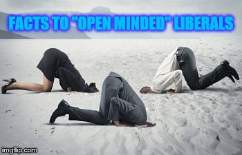Open minded liberals with heads in the sand | FACTS TO "OPEN MINDED" LIBERALS | image tagged in open minded,liberals,memes,political meme,snowflakes | made w/ Imgflip meme maker