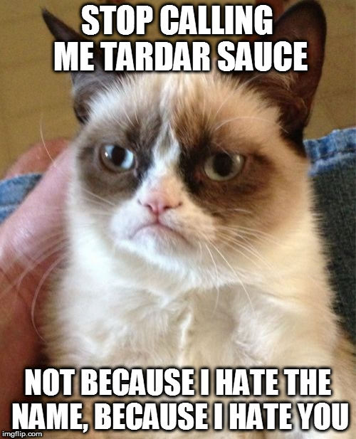 Grumpy Cat Meme | STOP CALLING ME TARDAR SAUCE; NOT BECAUSE I HATE THE NAME, BECAUSE I HATE YOU | image tagged in memes,grumpy cat | made w/ Imgflip meme maker