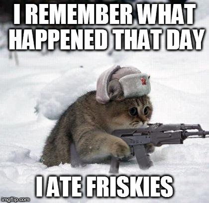 Cute Sad Soviet War Kitten | I REMEMBER WHAT HAPPENED THAT DAY; I ATE FRISKIES | image tagged in cute sad soviet war kitten | made w/ Imgflip meme maker