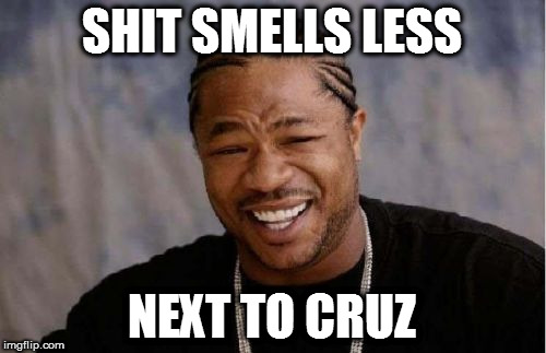 Yo Dawg Heard You Meme | SHIT SMELLS LESS NEXT TO CRUZ | image tagged in memes,yo dawg heard you | made w/ Imgflip meme maker