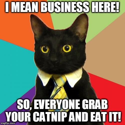 Business Cat Meme | I MEAN BUSINESS HERE! SO, EVERYONE GRAB YOUR CATNIP AND EAT IT! | image tagged in memes,business cat | made w/ Imgflip meme maker