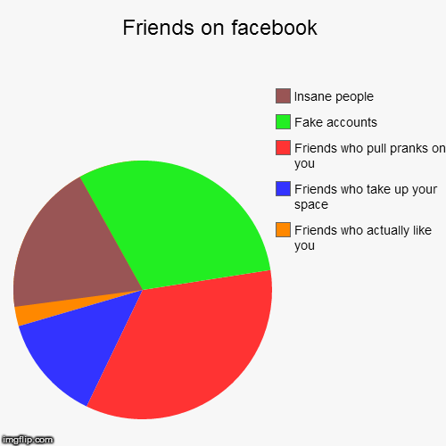 image tagged in funny,pie charts | made w/ Imgflip chart maker