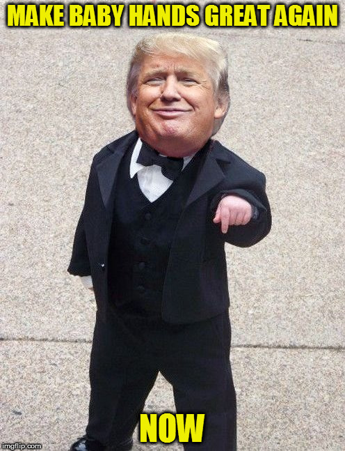 MAKE BABY HANDS GREAT AGAIN; NOW | image tagged in fucktrump,donald trump the clown,trump small hands,small penis,dumptrump,trump baby | made w/ Imgflip meme maker