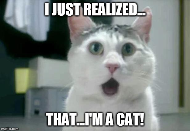 OMG Cat | I JUST REALIZED... THAT...I'M A CAT! | image tagged in memes,omg cat | made w/ Imgflip meme maker