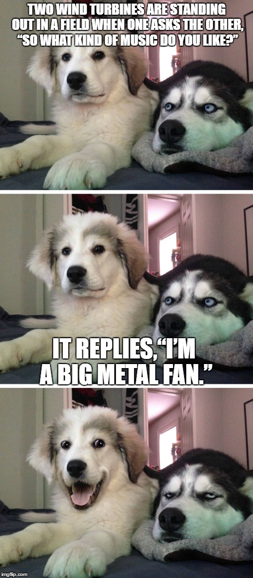 Bad pun dogs | TWO WIND TURBINES ARE STANDING OUT IN A FIELD WHEN ONE ASKS THE OTHER, “SO WHAT KIND OF MUSIC DO YOU LIKE?”; IT REPLIES,“I’M A BIG METAL FAN.” | image tagged in bad pun dogs | made w/ Imgflip meme maker