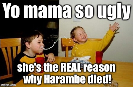 R.I.P. Harambe. When she killed him, everyone else killed themselves so they could still be w/ him. :'-( | Yo mama so ugly; she's the REAL reason why Harambe died! | image tagged in memes,yo mamas so fat,harambe | made w/ Imgflip meme maker