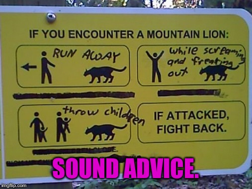 I see no better course of action. | SOUND ADVICE. | image tagged in the rock on the left is | made w/ Imgflip meme maker