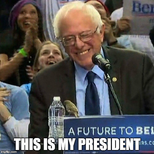 Bernie-This is my president | THIS IS MY PRESIDENT | image tagged in bernie sanders | made w/ Imgflip meme maker