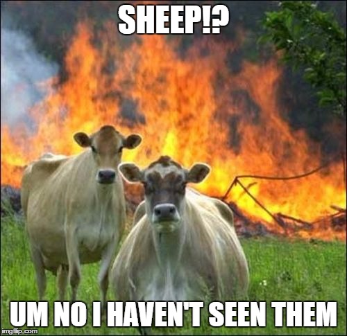 Evil Cows | SHEEP!? UM NO I HAVEN'T SEEN THEM | image tagged in memes,evil cows | made w/ Imgflip meme maker