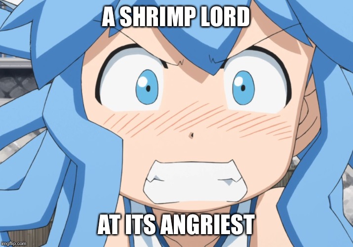 Did you eat and forget  | A SHRIMP LORD; AT ITS ANGRIEST | image tagged in squid girl rage,anime,squid girl,pissed off anime girl,angry squid girl | made w/ Imgflip meme maker