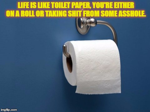 Toilet Time....... | LIFE IS LIKE TOILET PAPER, YOU'RE EITHER ON A ROLL OR TAKING SHIT FROM SOME ASSHOLE. | image tagged in shit,asshole,life,dark humor,customer service | made w/ Imgflip meme maker