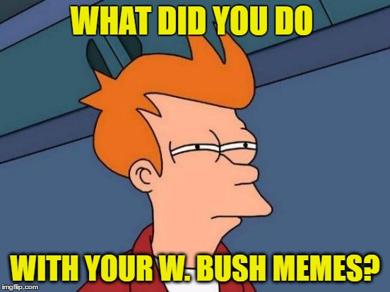 Futurama Fry Meme | WHAT DID YOU DO WITH YOUR W. BUSH MEMES? | image tagged in memes,futurama fry | made w/ Imgflip meme maker