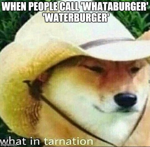 What in Tarnation | WHEN PEOPLE CALL 'WHATABURGER' 'WATERBURGER' | image tagged in what in tarnation | made w/ Imgflip meme maker