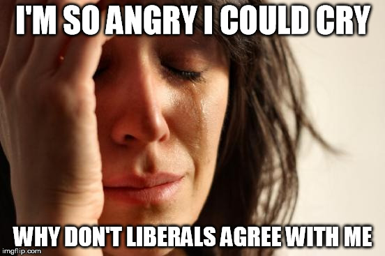 First World Problems Meme | I'M SO ANGRY I COULD CRY; WHY DON'T LIBERALS AGREE WITH ME | image tagged in memes,first world problems | made w/ Imgflip meme maker