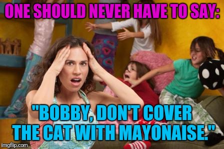 Here's a Tip: When Babysitting Kids, Don't Give Them Red Bull | ONE SHOULD NEVER HAVE TO SAY:; "BOBBY, DON'T COVER THE CAT WITH MAYONAISE." | image tagged in kids,brats,red bull,babysitting,crazy | made w/ Imgflip meme maker