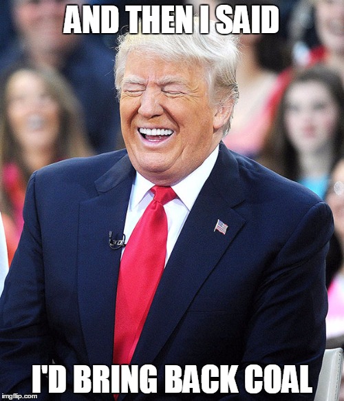 AND THEN I SAID; I'D BRING BACK COAL | image tagged in politics | made w/ Imgflip meme maker