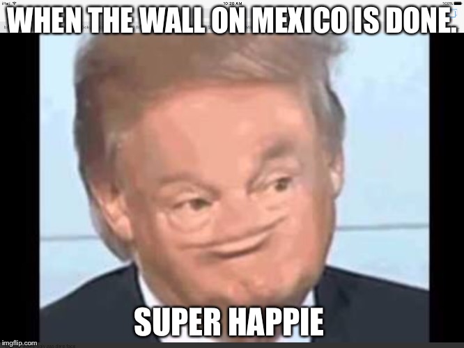 Derpnald twump  | WHEN THE WALL ON MEXICO IS DONE. SUPER HAPPIE | image tagged in funny memes | made w/ Imgflip meme maker