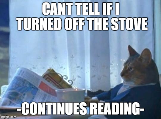 Cat newspaper | CANT TELL IF I TURNED OFF THE STOVE; -CONTINUES READING- | image tagged in cat newspaper | made w/ Imgflip meme maker