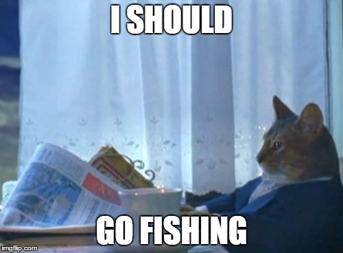 I Should Buy A Boat Cat | I SHOULD; GO FISHING | image tagged in memes,i should buy a boat cat | made w/ Imgflip meme maker