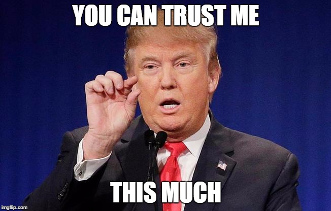 This much | YOU CAN TRUST ME; THIS MUCH | image tagged in this much | made w/ Imgflip meme maker