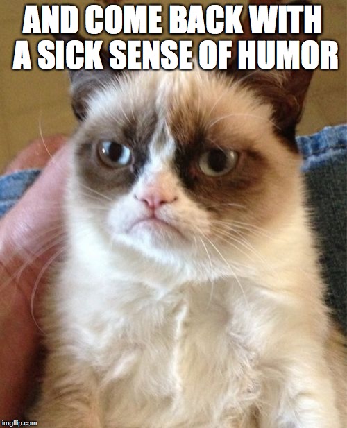 Grumpy Cat Meme | AND COME BACK WITH A SICK SENSE OF HUMOR | image tagged in memes,grumpy cat | made w/ Imgflip meme maker