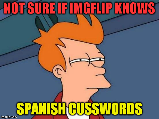 Futurama Fry Meme | NOT SURE IF IMGFLIP KNOWS SPANISH CUSSWORDS | image tagged in memes,futurama fry | made w/ Imgflip meme maker
