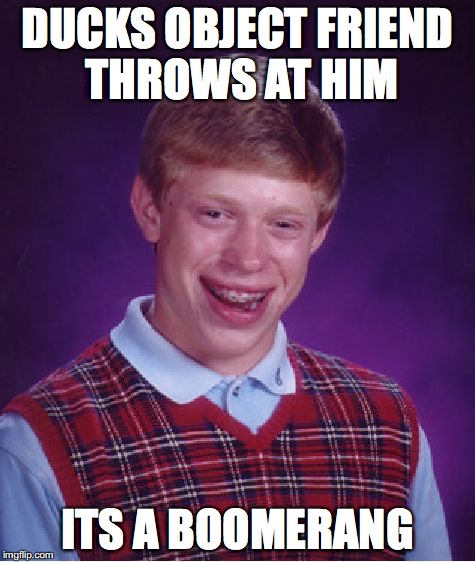 Bad Luck Brian | DUCKS OBJECT FRIEND THROWS AT HIM; ITS A BOOMERANG | image tagged in memes,bad luck brian | made w/ Imgflip meme maker