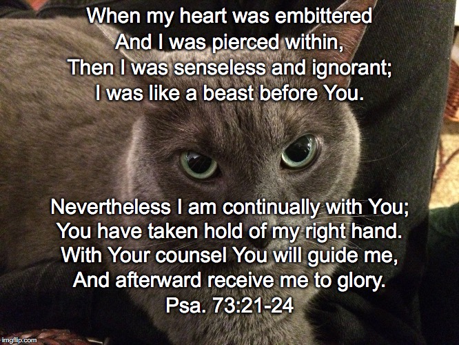 When my heart was embittered; And I was pierced within, Then I was senseless and ignorant;; I was like a beast before You. Nevertheless I am continually with You;; You have taken hold of my right hand. With Your counsel You will guide me, And afterward receive me to glory. Psa. 73:21-24 | image tagged in embittered | made w/ Imgflip meme maker