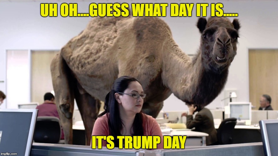 UH OH....GUESS WHAT DAY IT IS..... IT'S TRUMP DAY | image tagged in trump | made w/ Imgflip meme maker