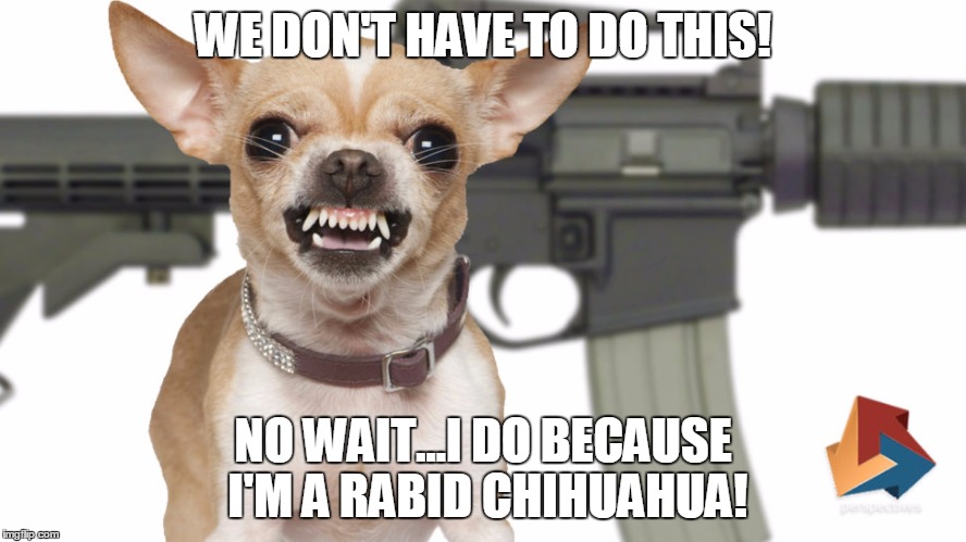 WE DON'T HAVE TO DO THIS! NO WAIT...I DO BECAUSE I'M A RABID CHIHUAHUA! | made w/ Imgflip meme maker