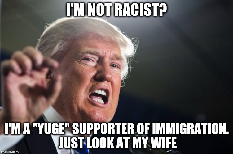 donald trump | I'M NOT RACIST? I'M A "YUGE" SUPPORTER OF IMMIGRATION. JUST LOOK AT MY WIFE | image tagged in donald trump | made w/ Imgflip meme maker
