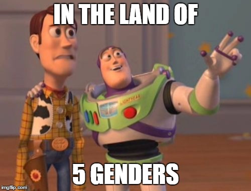 X, X Everywhere | IN THE LAND OF; 5 GENDERS | image tagged in memes,x x everywhere | made w/ Imgflip meme maker