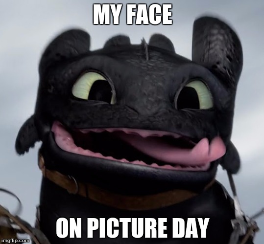 Toothless | MY FACE; ON PICTURE DAY | image tagged in toothless | made w/ Imgflip meme maker