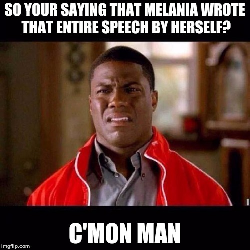 WTF black guy | SO YOUR SAYING THAT MELANIA WROTE THAT ENTIRE SPEECH BY HERSELF? C'MON MAN | image tagged in wtf black guy | made w/ Imgflip meme maker