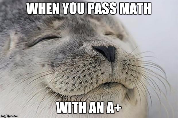 Satisfied Seal Meme | WHEN YOU PASS MATH; WITH AN A+ | image tagged in memes,satisfied seal | made w/ Imgflip meme maker
