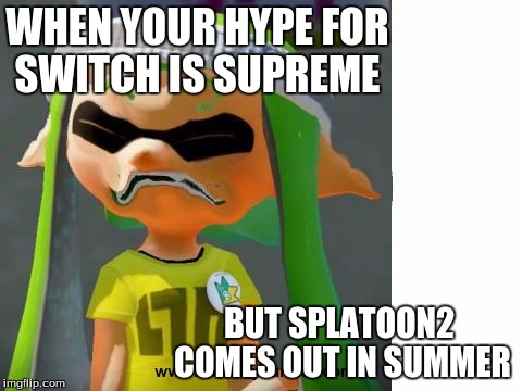 splatoon comes in summer! | WHEN YOUR HYPE FOR SWITCH IS SUPREME; BUT SPLATOON2 COMES OUT IN SUMMER | image tagged in splatoon,woomy,memes,squid | made w/ Imgflip meme maker