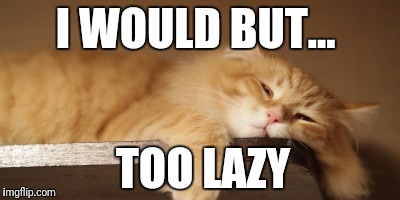 I WOULD BUT... TOO LAZY | made w/ Imgflip meme maker