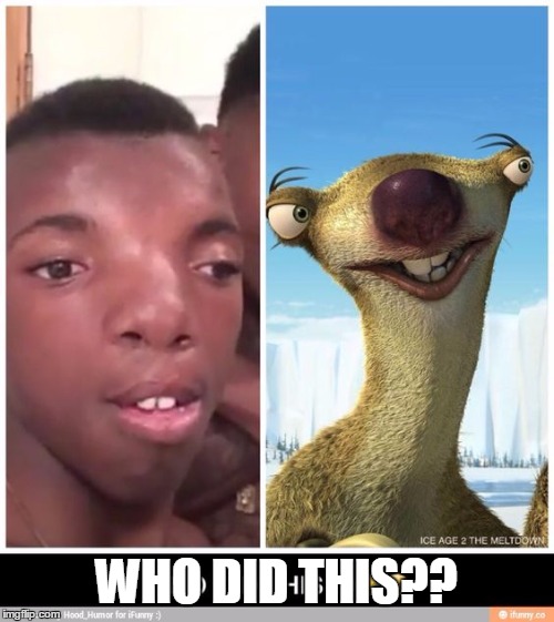Look at this dude | WHO DID THIS?? | image tagged in look at this dude,iceage,memes,funny | made w/ Imgflip meme maker