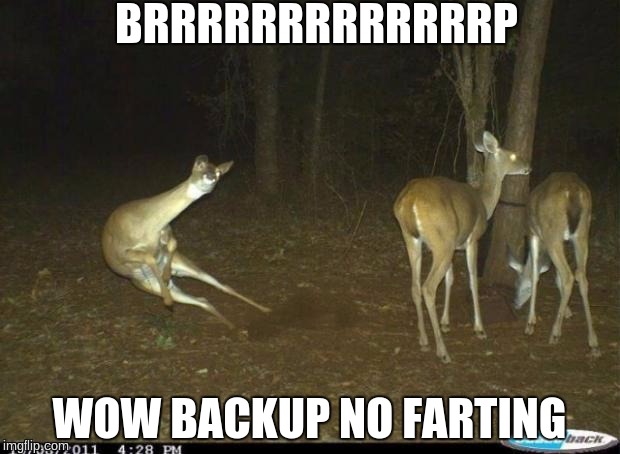 ghostly deer | BRRRRRRRRRRRRRP; WOW BACKUP NO FARTING | image tagged in ghostly deer | made w/ Imgflip meme maker