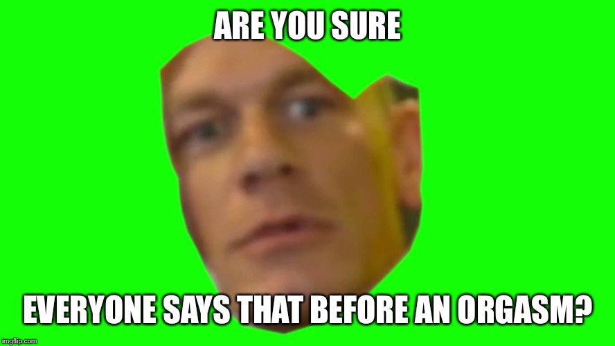 Jon Cena Are You Sure About That | ARE YOU SURE EVERYONE SAYS THAT BEFORE AN ORGASM? | image tagged in jon cena are you sure about that | made w/ Imgflip meme maker
