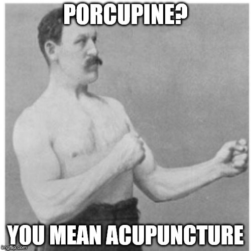Overly Manly Man Meme | PORCUPINE? YOU MEAN ACUPUNCTURE | image tagged in memes,overly manly man | made w/ Imgflip meme maker