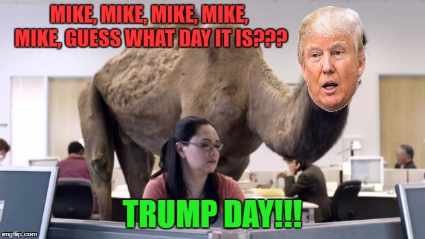 Hump Day Camel |  MIKE, MIKE, MIKE, MIKE, MIKE, GUESS WHAT DAY IT IS??? TRUMP DAY!!! | image tagged in hump day camel | made w/ Imgflip meme maker