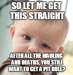 Skeptical Baby | SO LET ME GET THIS STRAIGHT; AFTER ALL THE MAULING AND DEATHS, YOU STILL WANT TO GET A PIT BULL? | image tagged in memes,skeptical baby | made w/ Imgflip meme maker