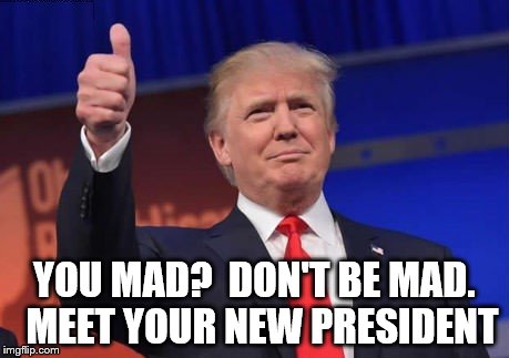 Trump | YOU MAD?  DON'T BE MAD.  MEET YOUR NEW PRESIDENT | image tagged in president,donald trump | made w/ Imgflip meme maker