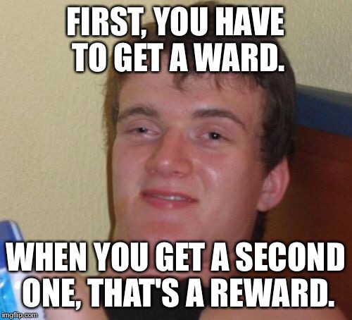 10 Guy Meme | FIRST, YOU HAVE TO GET A WARD. WHEN YOU GET A SECOND ONE, THAT'S A REWARD. | image tagged in memes,10 guy | made w/ Imgflip meme maker