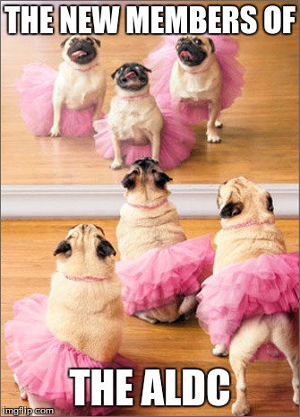 New Members | THE NEW MEMBERS OF; THE ALDC | image tagged in today is going to be a good day pugs | made w/ Imgflip meme maker