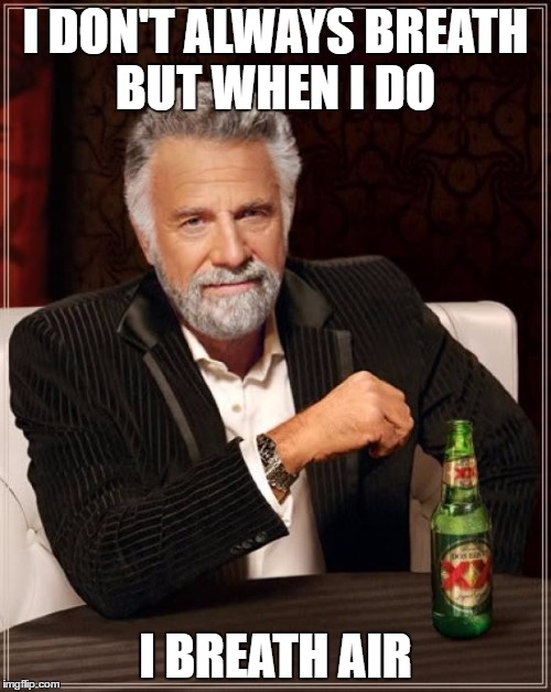 The Most Interesting Man In The World Meme | I DON'T ALWAYS BREATH BUT WHEN I DO; I BREATH AIR | image tagged in memes,the most interesting man in the world | made w/ Imgflip meme maker