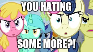 Not really, but I am prepared for some more haters to come along! | YOU HATING; SOME MORE?! | image tagged in angry group of ponies,memes,my little pony,ponies,haters,bronies | made w/ Imgflip meme maker
