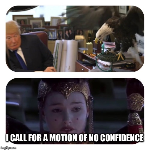 Motion of no confidence | I CALL FOR A MOTION OF NO CONFIDENCE | image tagged in president,donald trump,not my president | made w/ Imgflip meme maker