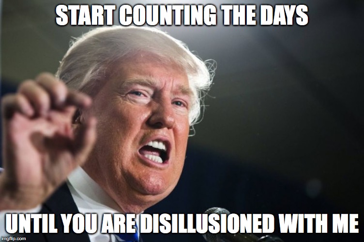 donald trump | START COUNTING THE DAYS; UNTIL YOU ARE DISILLUSIONED WITH ME | image tagged in donald trump | made w/ Imgflip meme maker